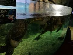 -福州罗源湾海洋世界旅游区