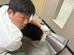-瑞鹏宠物医院·骨外科·心肾科·肿瘤科(九亭店)