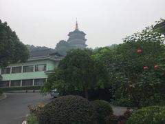 -浙江西子宾馆·牡丹厅