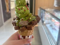 -哈根达斯(西安高新店)