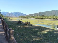 -永定河休闲森林公园