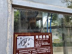 -水绘园