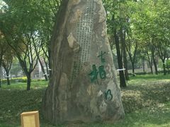-唐城墙遗址公园