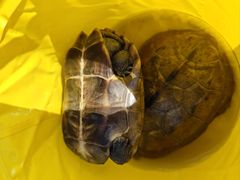 -湖南生物机电职业技术学院(东湖校区)