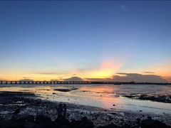 -宝安西湾红树林湿地公园