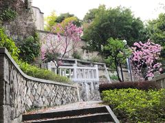 -乌山风景区