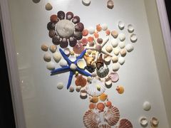 -青岛贝壳博物馆