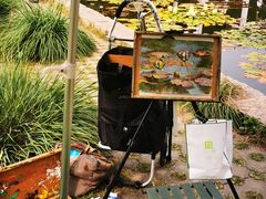 -国家植物园南园