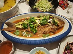 -阿五黄河大鲤鱼(海尚店)