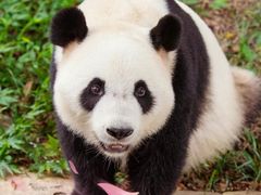 -广州长隆野生动物世界