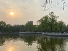 -丰台花园