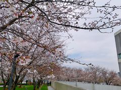 -龙美术馆(西岸馆)