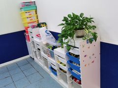 -森孚机器人编程·STEM积木·等级考试(虹口足球场中心)