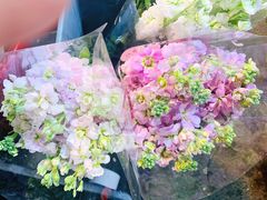 -循礼门鲜花花市(武汉循礼门店)