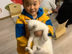 -柴迷FANS CLUB·柴犬狗咖·猫咖