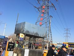 -中环花鸟鱼虫市场
