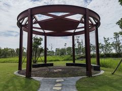 -春花秋色城市公园