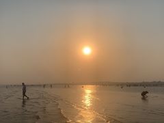-刘家湾赶海园