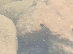 -黄公望隐居地
