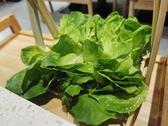 -九孔·筒骨莲藕汤锅(大明宫万达店)