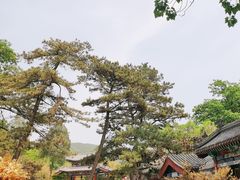 -红螺寺