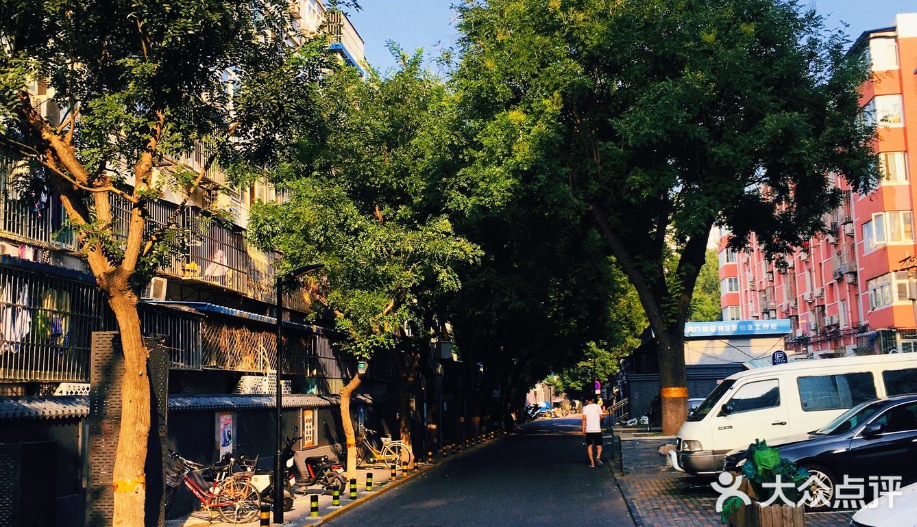 [爱心]北京胡同漫游记🚴