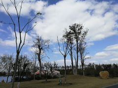 -上海长兴岛郊野公园