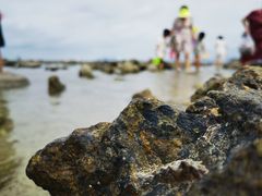 -三亚西岛海洋文化旅游区