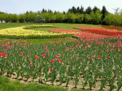 android_upload_pic-沈阳植物园