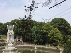 -坝光海滩