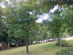android_upload_pic-万绿园