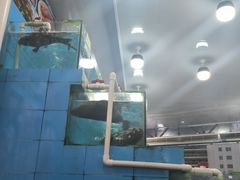 -考记泥焗鸡农庄·海鲜(北洛秘境店)