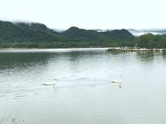 -大九湖