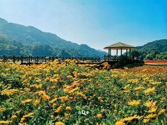 -广州市石门国家森林公园