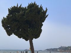 -青岛第一海水浴场