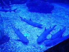 -多彩贵州城极地海洋世界