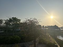 -梧桐山风景名胜区