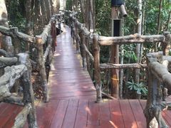 android_upload_pic-三亚亚龙湾人间天堂鸟巢度假村