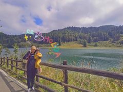 -武陵山森林公园