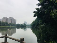 -金山公园