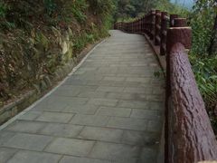 -羚羊峡古栈道森林公园