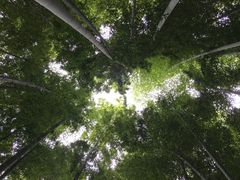 -宝岩生态观光园
