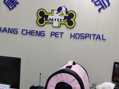 -康成宠物医院24H·CT·核磁共振