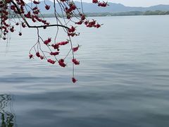 -柳莺湖上·湖景餐厅·江南菜(西湖店)