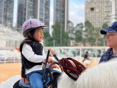 -名驭国际马术学院