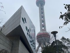 -上海海洋水族馆