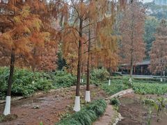 -重庆彩云湖湿地公园