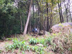 -火炉山森林公园