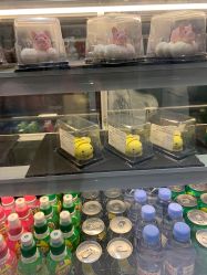 -MINI MARS KIDS CLUB亲子家庭中心(长宁天山店)