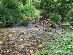 -秦岭终南山世界地质公园翠华山景区